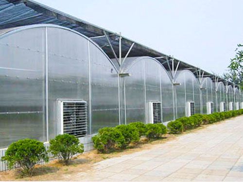 智能連棟溫室